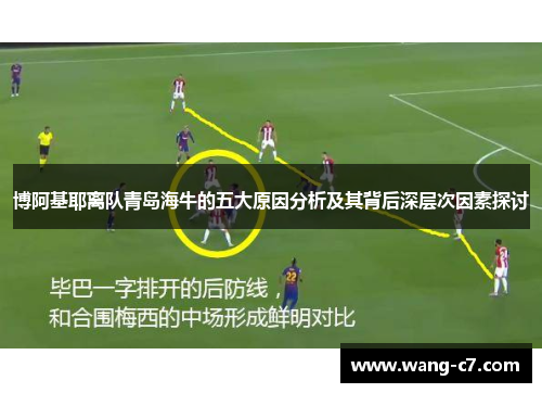 博阿基耶离队青岛海牛的五大原因分析及其背后深层次因素探讨