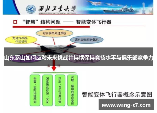 山东泰山如何应对未来挑战并持续保持竞技水平与俱乐部竞争力