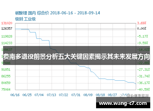 费南多退役前景分析五大关键因素揭示其未来发展方向