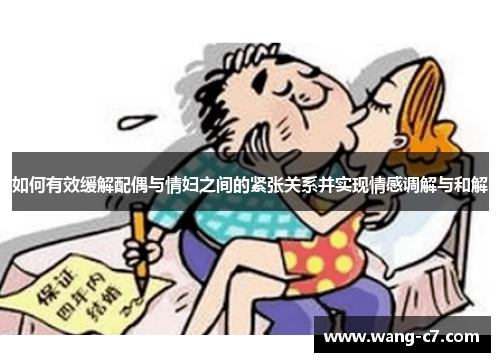 如何有效缓解配偶与情妇之间的紧张关系并实现情感调解与和解