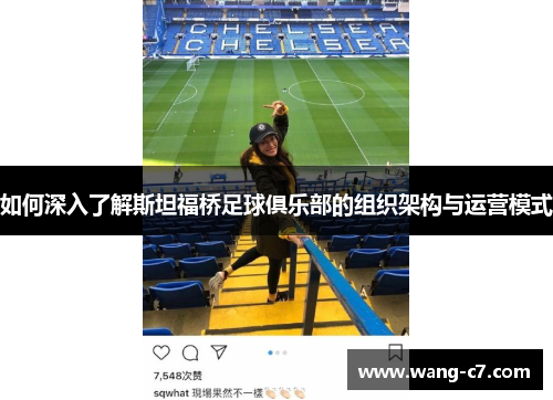 如何深入了解斯坦福桥足球俱乐部的组织架构与运营模式