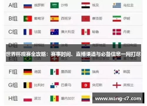 世界杯观赛全攻略：赛事时间、直播渠道与必备信息一网打尽