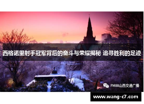 西格诺里射手冠军背后的奋斗与荣耀揭秘 追寻胜利的足迹